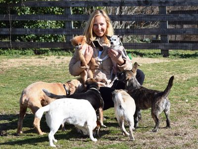 Carla and dogs Carla and dogs