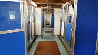 Kennel #2 aisle Kennel #2 aisle