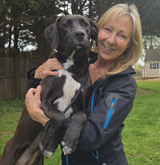 Available rescue dog