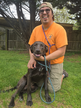 Available rescue dog